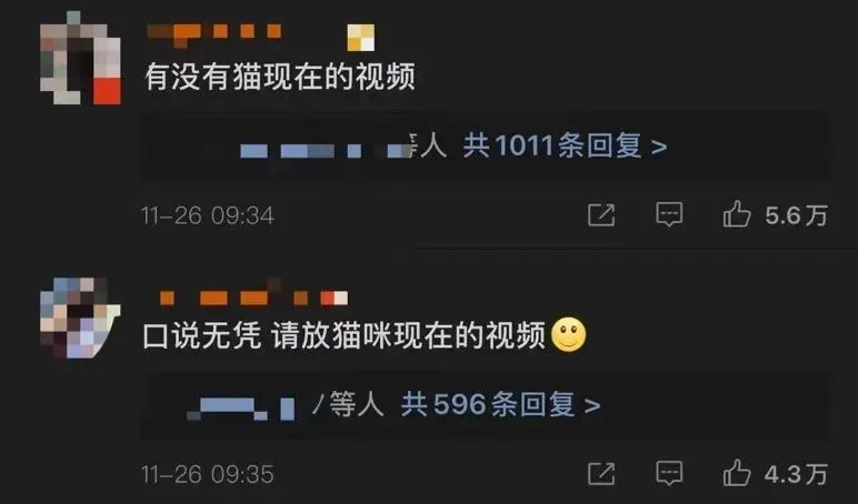 怎样做好教育工作立德树人范冰冰颜这就是星侧目眼中剧组