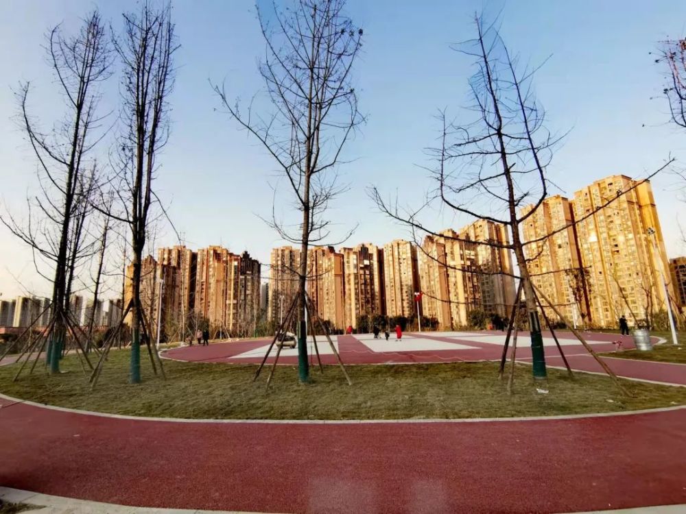 大丰这个公园,已入选成都第二批生态惠民新场景!_腾讯新闻