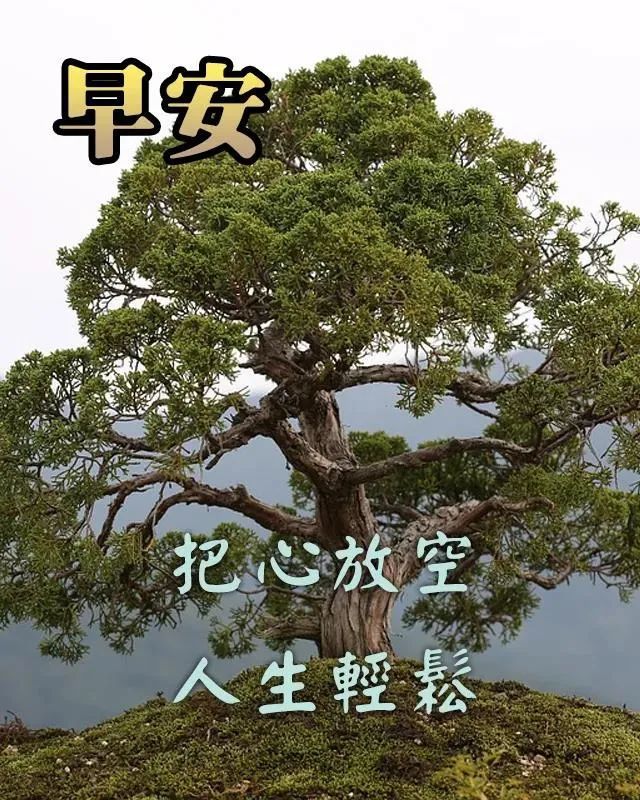 最美清晨早安問候祝福圖片精選朋友圈溫馨的早上好祝福圖片