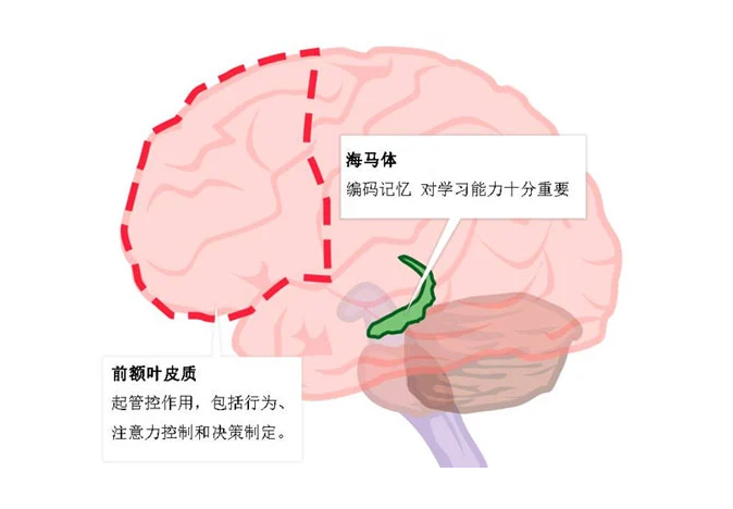 为什么有人会 老年痴呆 其实每天花5分钟能预防 人人都会做 腾讯新闻