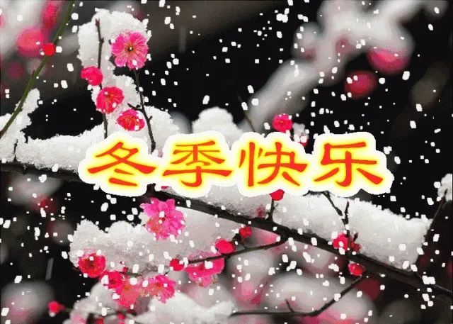 2021年最新下雪天冷問候動畫圖片,天冷早上好祝福語句正能量句子