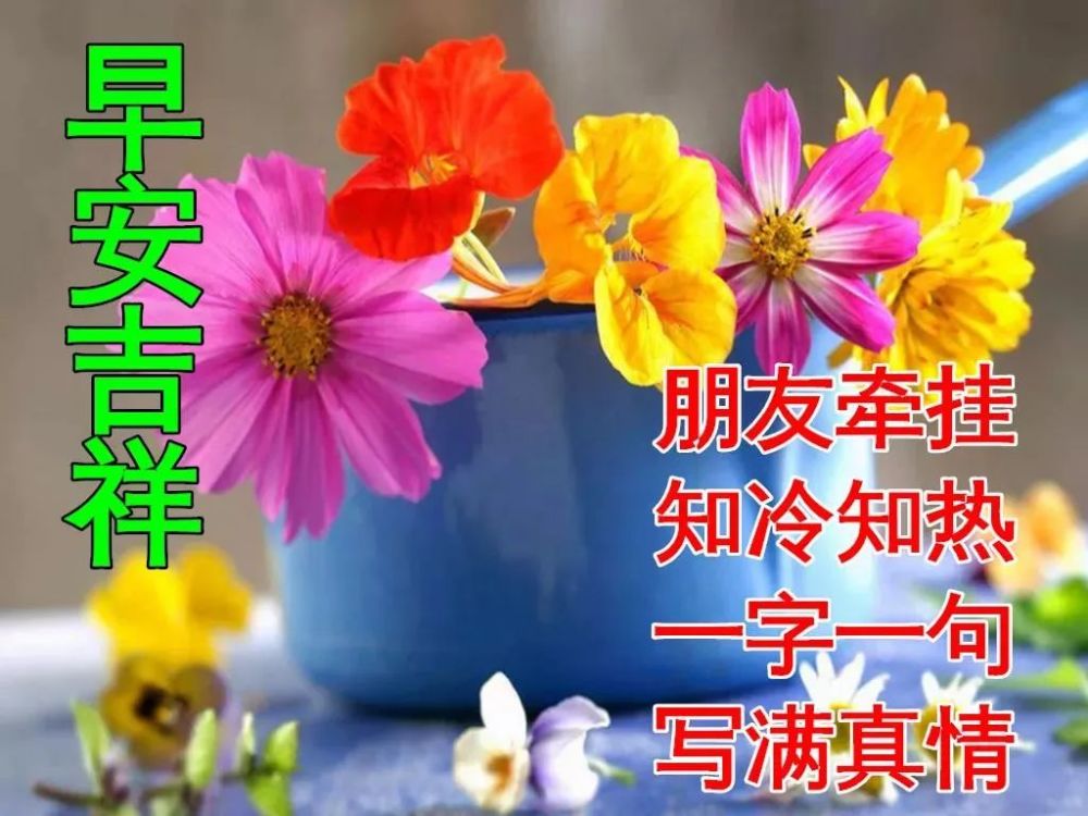 早上好祝福动画表情鲜花图片精选 免打字聊天的早安问候祝福动态鲜花