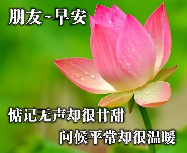 12月27日新的一天非常漂亮的早上好图片简短的早安问候语