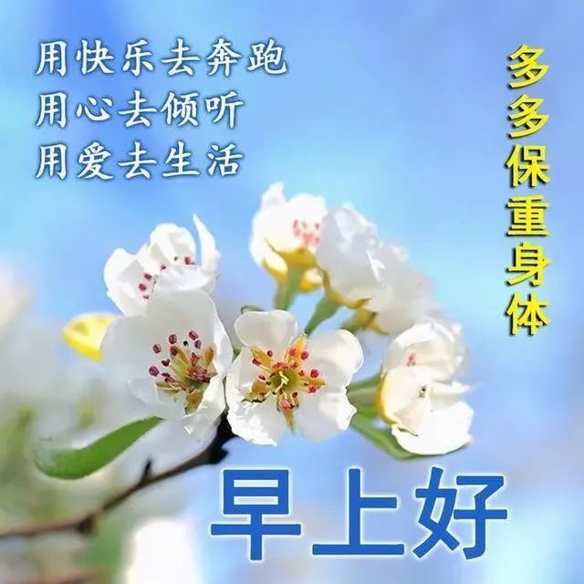12月27日新的一天非常漂亮的早上好图片简短的早安问候语