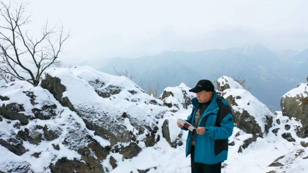 忽然一夜雪满天登高再读晏安澜传