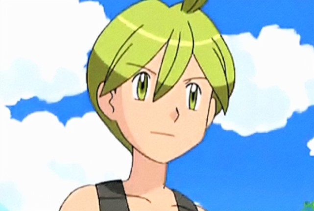 宝可梦被称为最弱四天王的阿柳指引其擅长属性是虫系