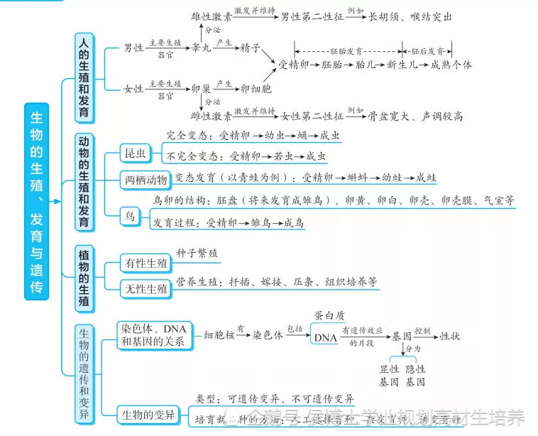 初中生物各專題知識梳理思維導圖大彙總預習複習都適用