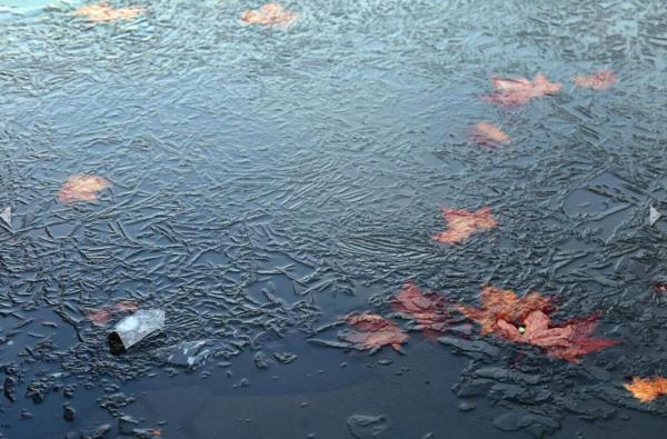 南京气温迎入冬新低速冻模式下水面结冰