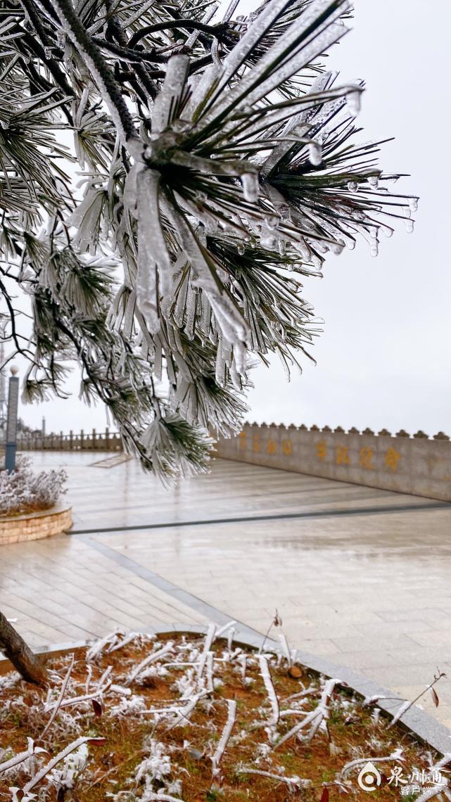 美极啦德化九仙山现雾凇景观