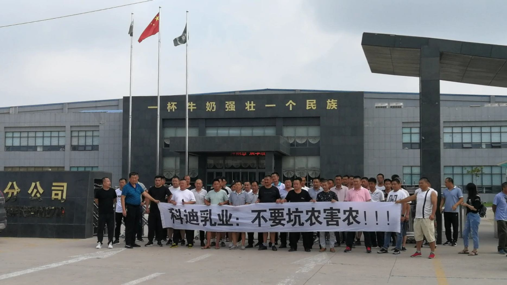 但是业务还是要继续开展,于是科迪乳业利用公司的品牌影响力,从农民手