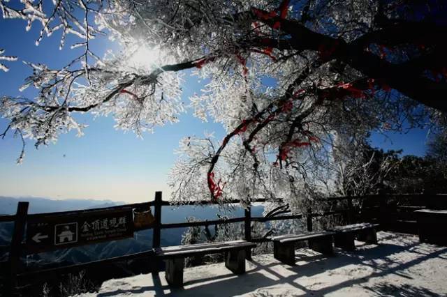 一场雪道尽了老君山的无限风情