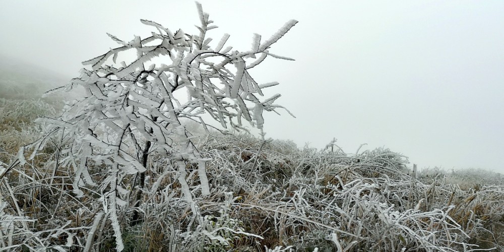 廣西灌陽高山雪景迎客來