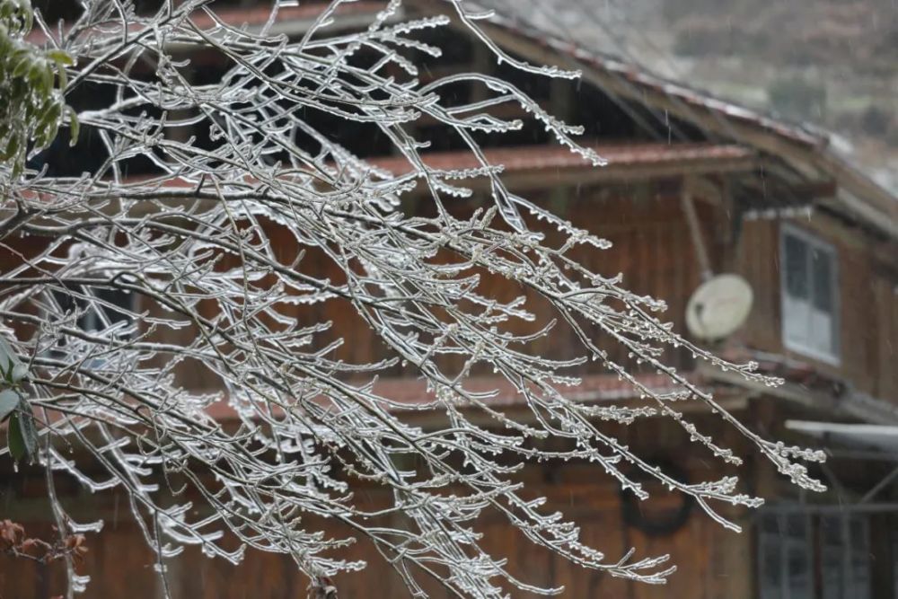 雨夹雪真实图片