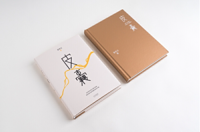 欢迎对文学作品及读书会豆瓣评分高达多少分～《皮囊》武汉光谷读书会