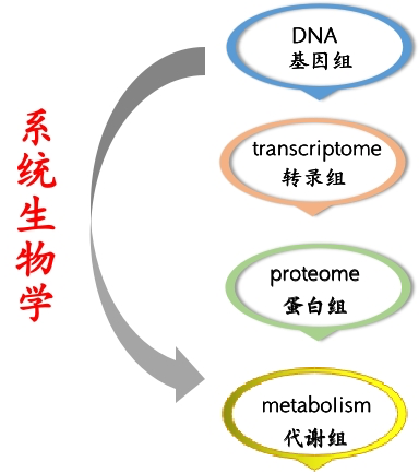 多组学联合分析到底分析些什么-转录组 代谢组篇