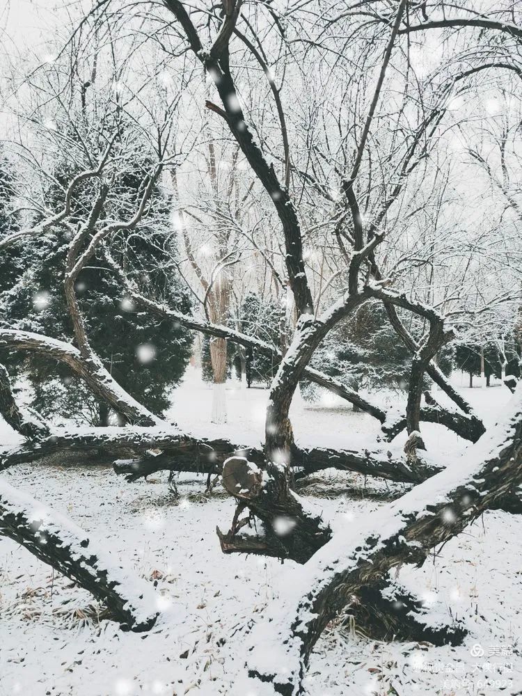 看金昌晴雪初霁风光无限