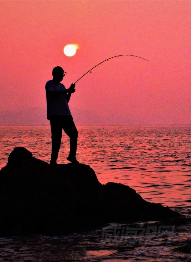 钓场」推荐给垂钓爱好者还等什么一起去钓鱼吧环翠区1洛西垂钓园黑坑