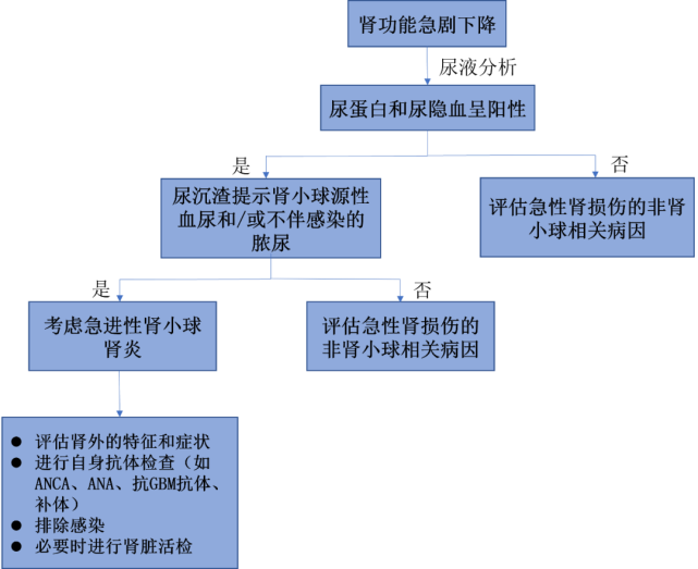 在等待腎臟活檢或腎活檢報告期間應儘早開始免疫抑制治療