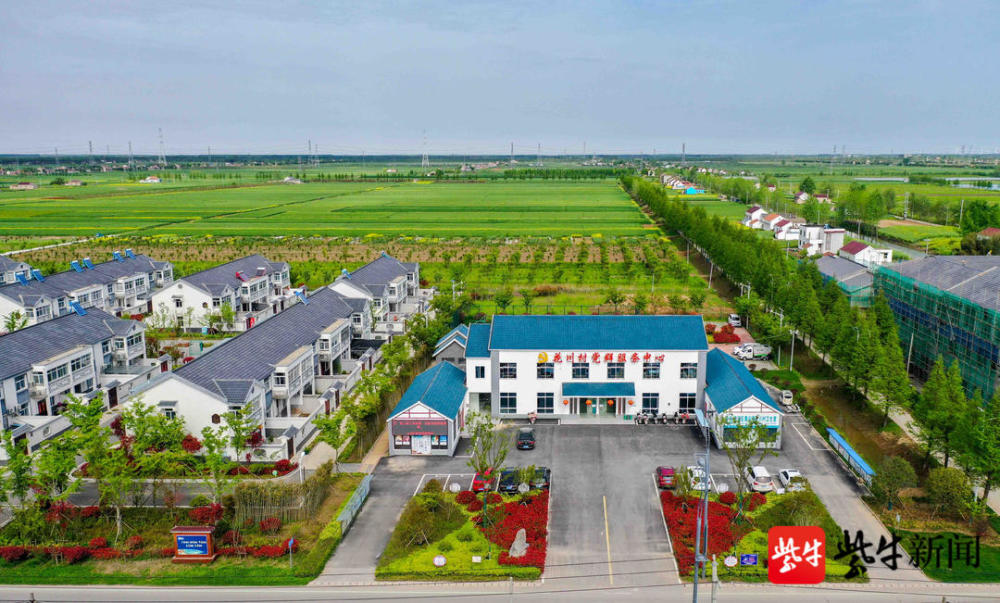 黄尖镇:文明新风吹乡野,心间绽放"幸福花"_腾讯新闻