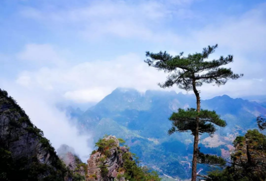 氣勢磅礴,近看怪石凌空,鬼斧神工,如猛虎下山,萬馬奔騰,山峰青松挺拔