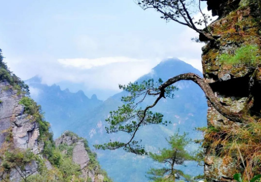 氣勢磅礴,近看怪石凌空,鬼斧神工,如猛虎下山,萬馬奔騰,山峰青松挺拔