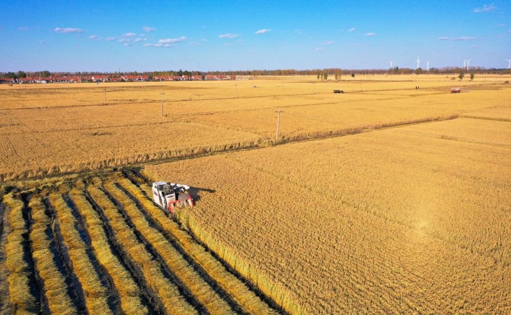 "做好昌图工作的关键,要围绕农字做文章,确保