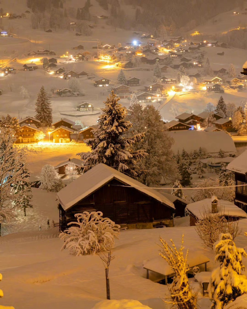 壁纸关于雪景夜晚