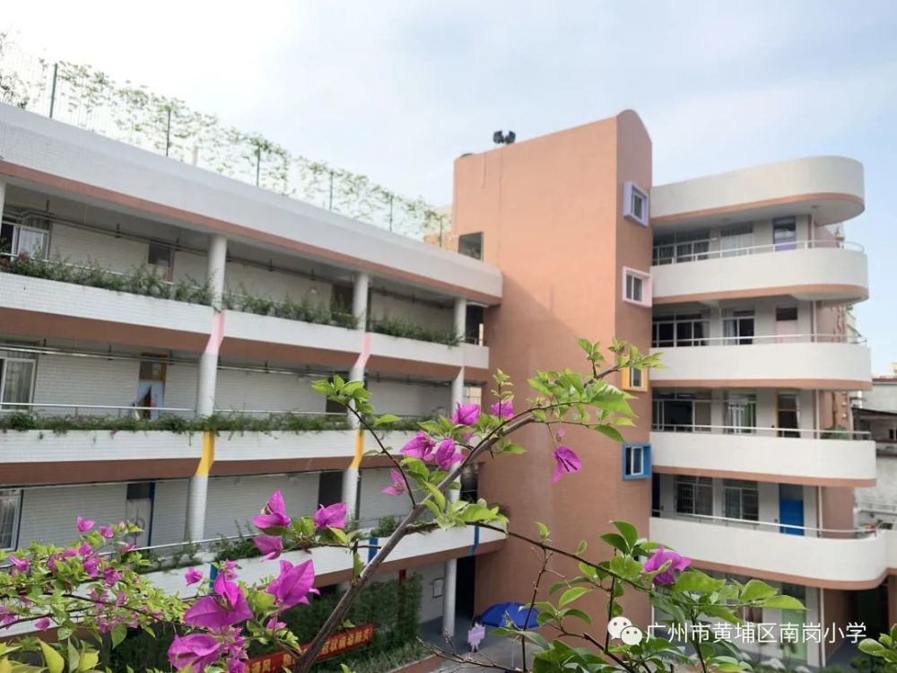 黄埔区这所公办小学发布春季插班生报名通知