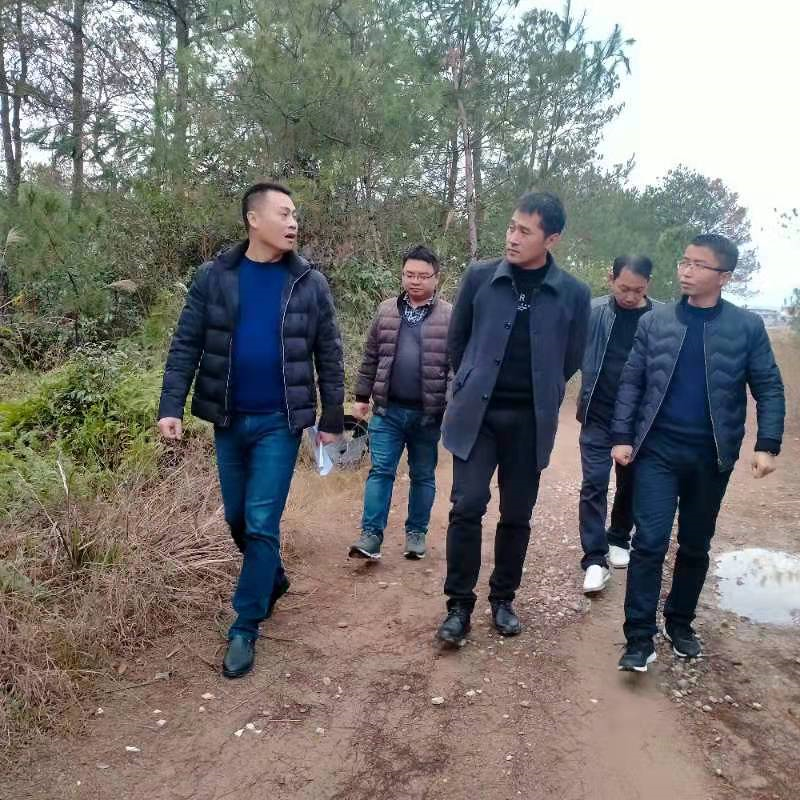 乐安县龚坊镇常态化开展林长巡林工作