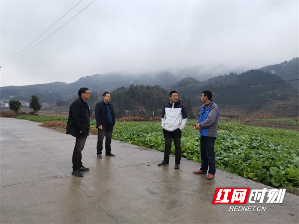 新化县维山乡多措并举应对低温雨雪天气