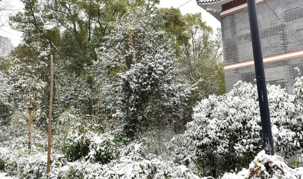 衡阳县的第一场雪如约而至最美雪景在这里