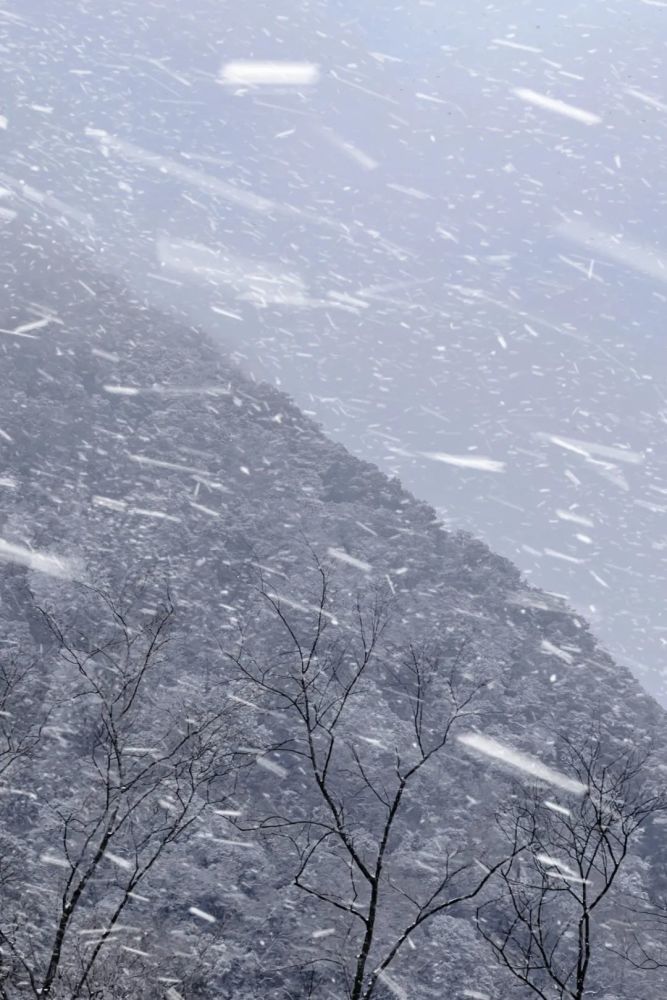 下雪风景微信图片
