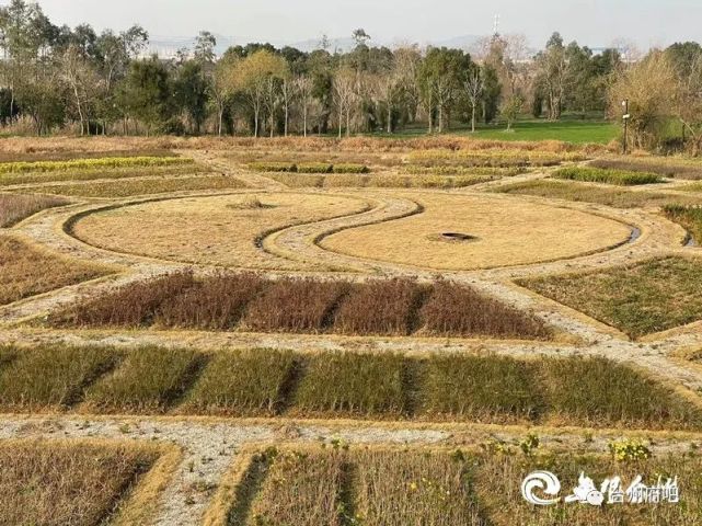 台州市大孚易恬园入选2021浙江省中医药文化养生旅游示范基地