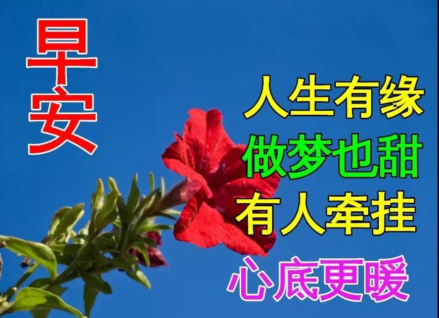 2022年3月3日最新早上好特漂亮的動態祝福圖片春天暖心早安問候語簡短