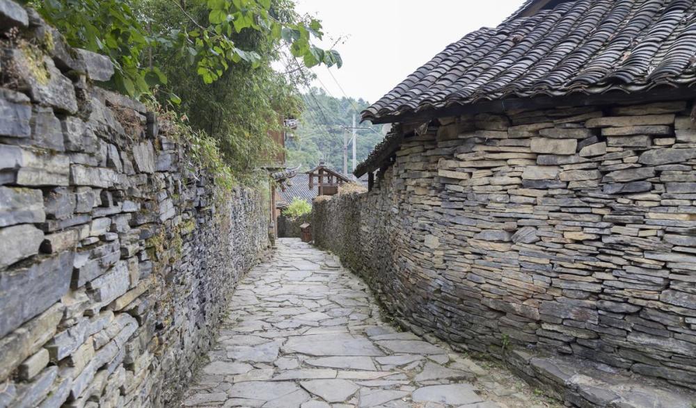 贵州发现水上苗王墓巨蛇盘旋无人敢靠近专家为探寻舍命爬上山顶