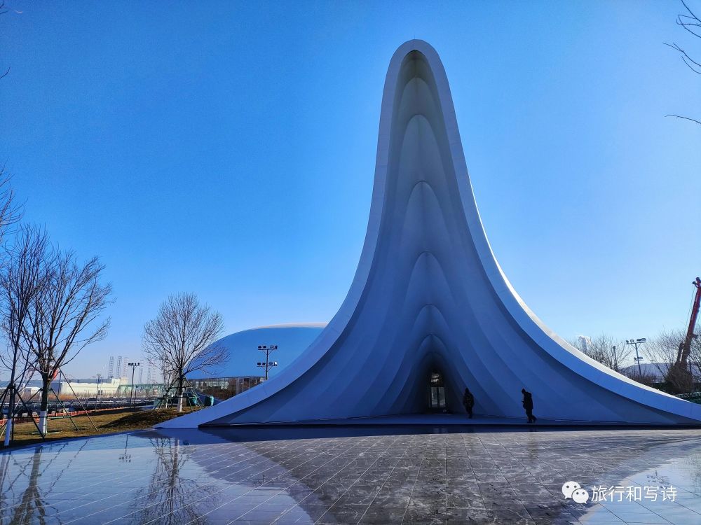 大连的一场寻鲸之旅