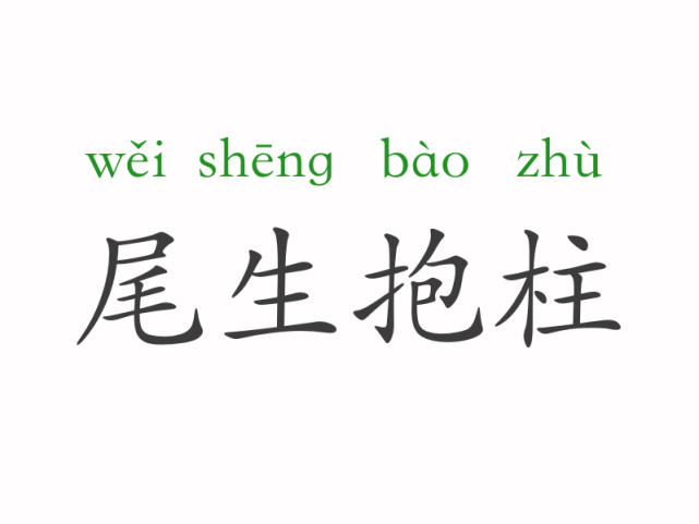 一天一个成语尾生抱柱