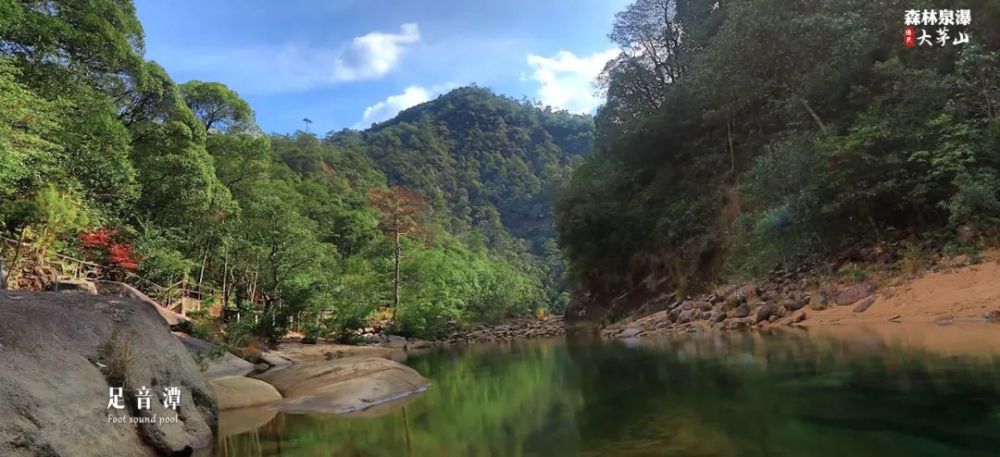 新年出遊攻略德興大茅山領券免費遊啦