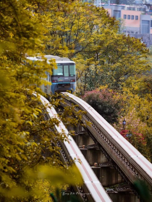 巨人之路56尼罗河57南极洲58撒哈拉沙漠59棉花堡60麦金利山61攀牙湾62