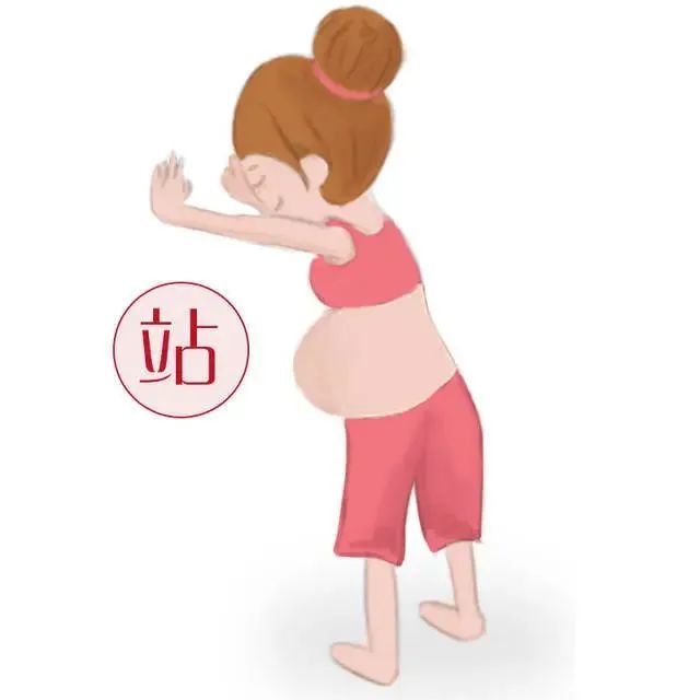 扶墙站立1为了顺利地产下宝宝,孕妈妈可在阵痛不强烈时,及时让自己的