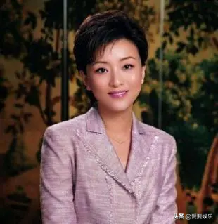 杨澜红枣门杨澜的成名史和三段情史