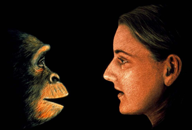 原始人是怎样繁殖后代的?人类又是如何繁殖起来的?-4m微商货源网