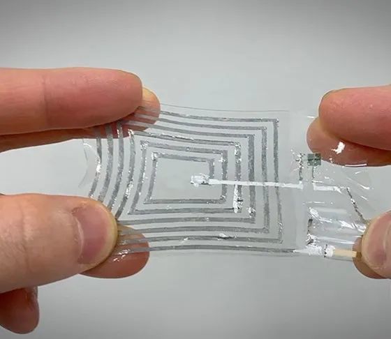 高高处的生命omicron感染有多严重超过千足的千足虫自然每周简报