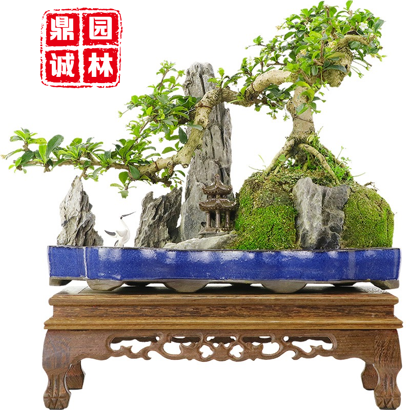 英石假山盆景阳台几案景观摆放造景设计 山水盆景石头摆放_腾讯新闻