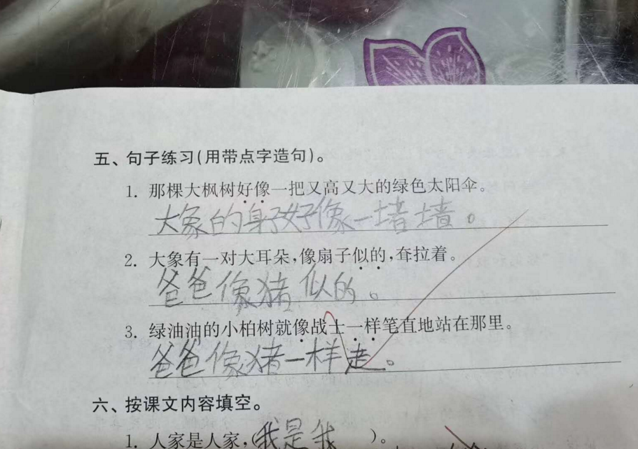 小學生奇葩造句坑爹他是認真的網友確定是親生的