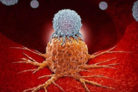 糖类癌胚抗原多少才算癌症_癌胚抗原是糖蛋白吗_癌胚糖类抗原标志物