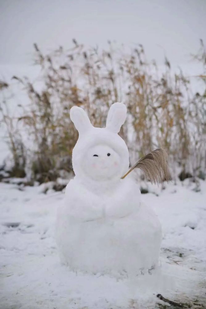 各位都是大佬啊湘潭朋友圈花式堆雪人大赏
