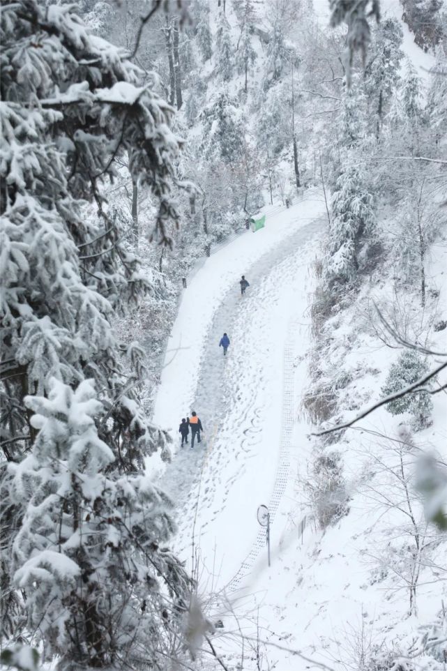 雪景与美人 共赏桃江的第一场雪