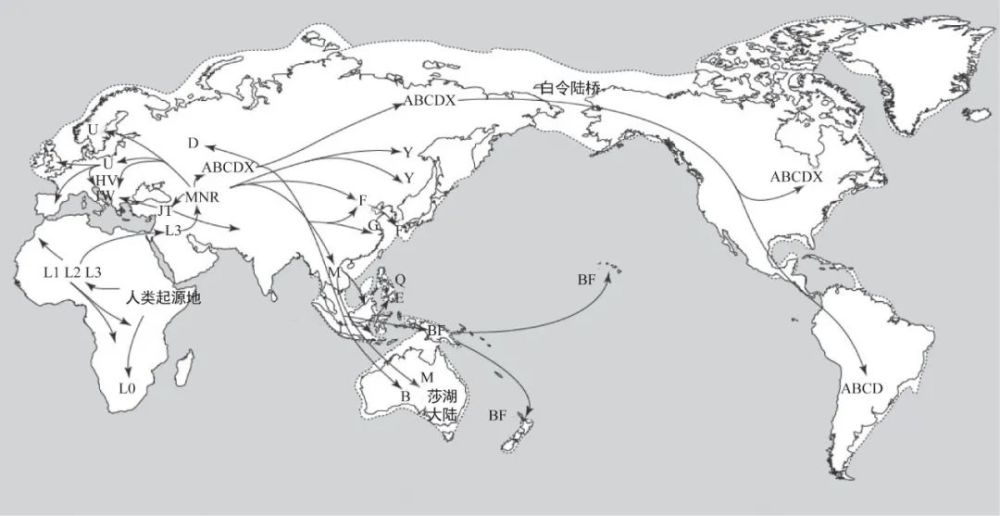 通过线粒体dna分析得出早期人类分化的主要迁徙路线;图中人类起源地于