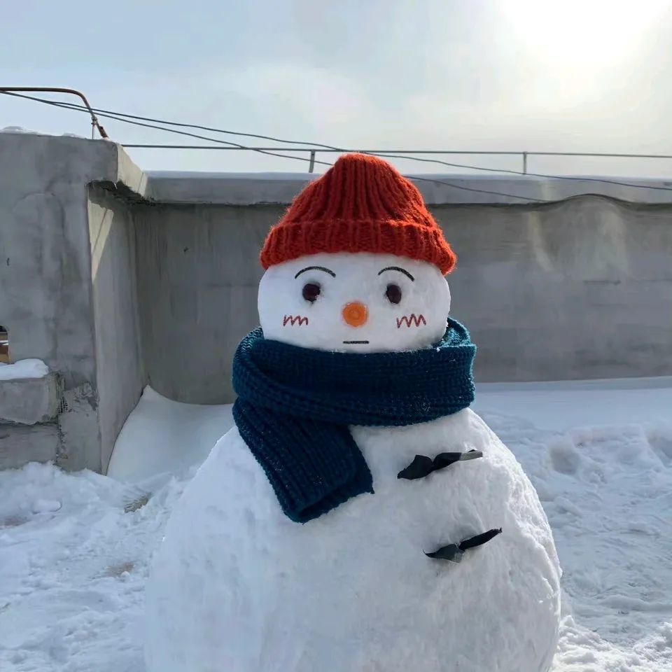 好可爱呀这些萌到每个路人的雪人